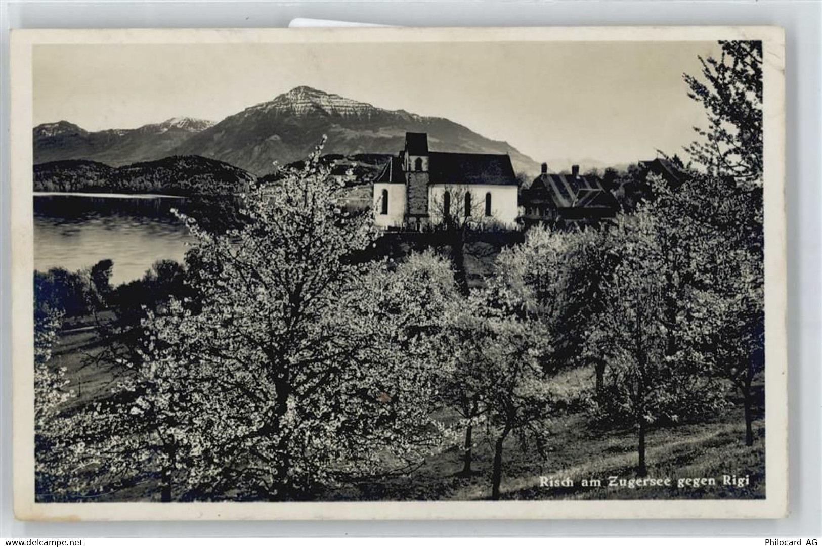 6343 Risch Gebrauchsspuren Rigi, Zugersee - 50737830