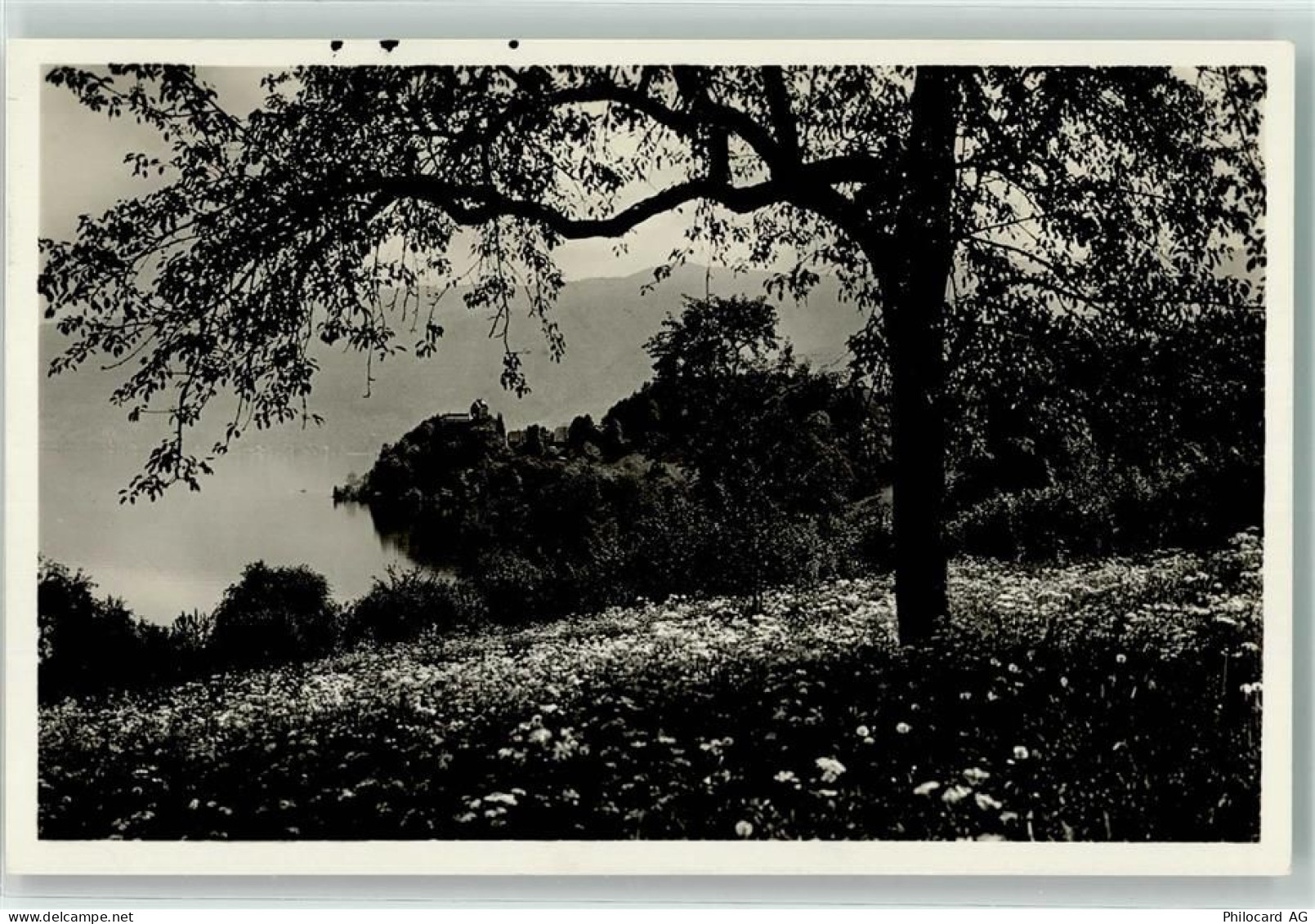 6343 Risch - Kurhaus Waldheim Schloss Buonas - 39495397