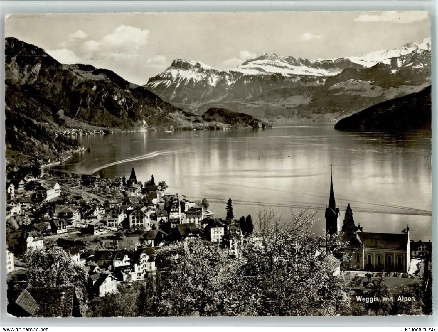 6353 Weggis - Weggis mit Alpen - 12115759