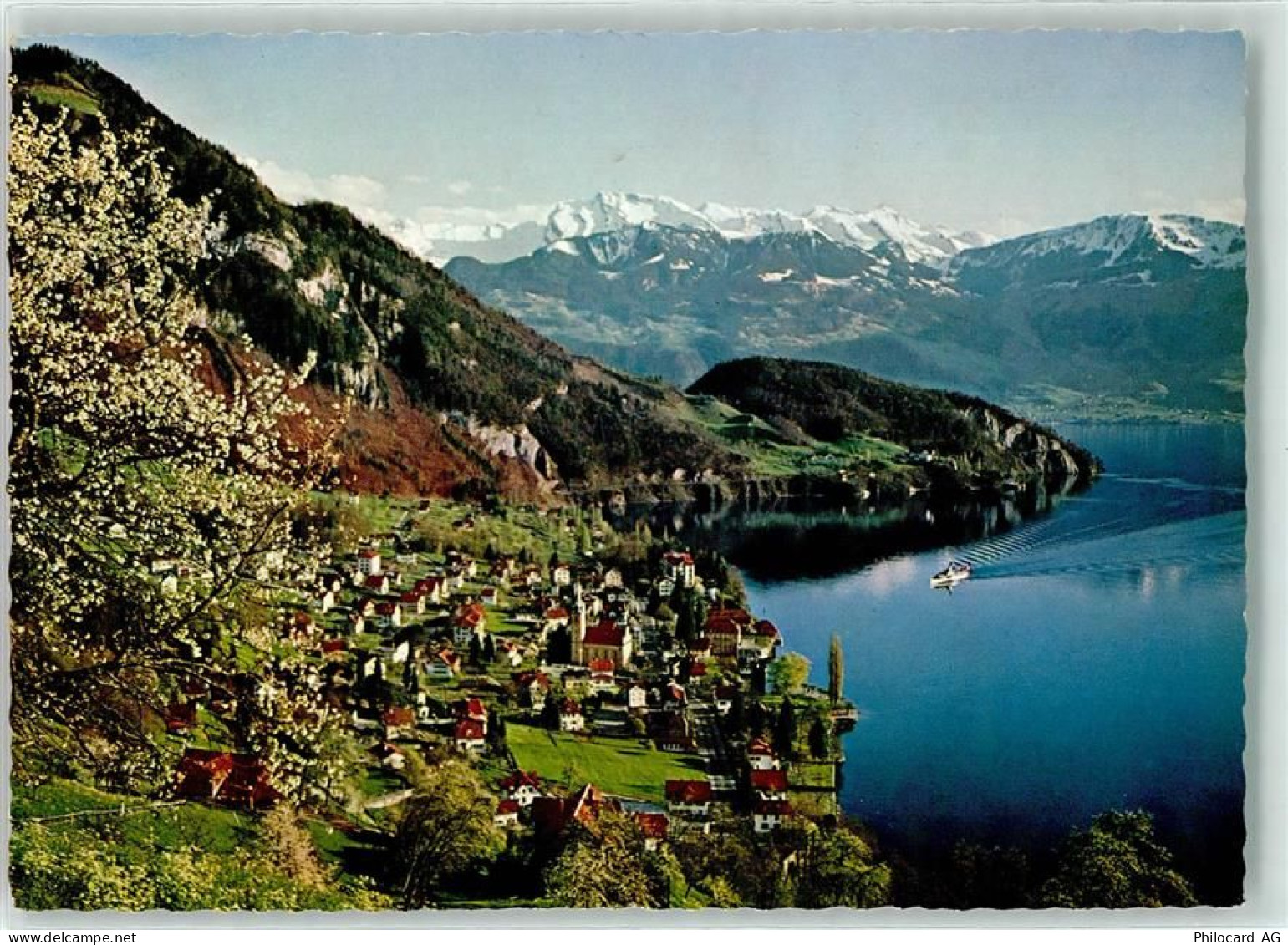 6354 Vitznau - 10597461