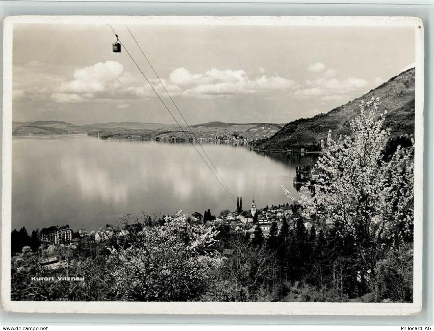 6354 Vitznau - Blick auf Vitznau Baumblüte Vierwaldstättersee Luftseilba... - 11093201