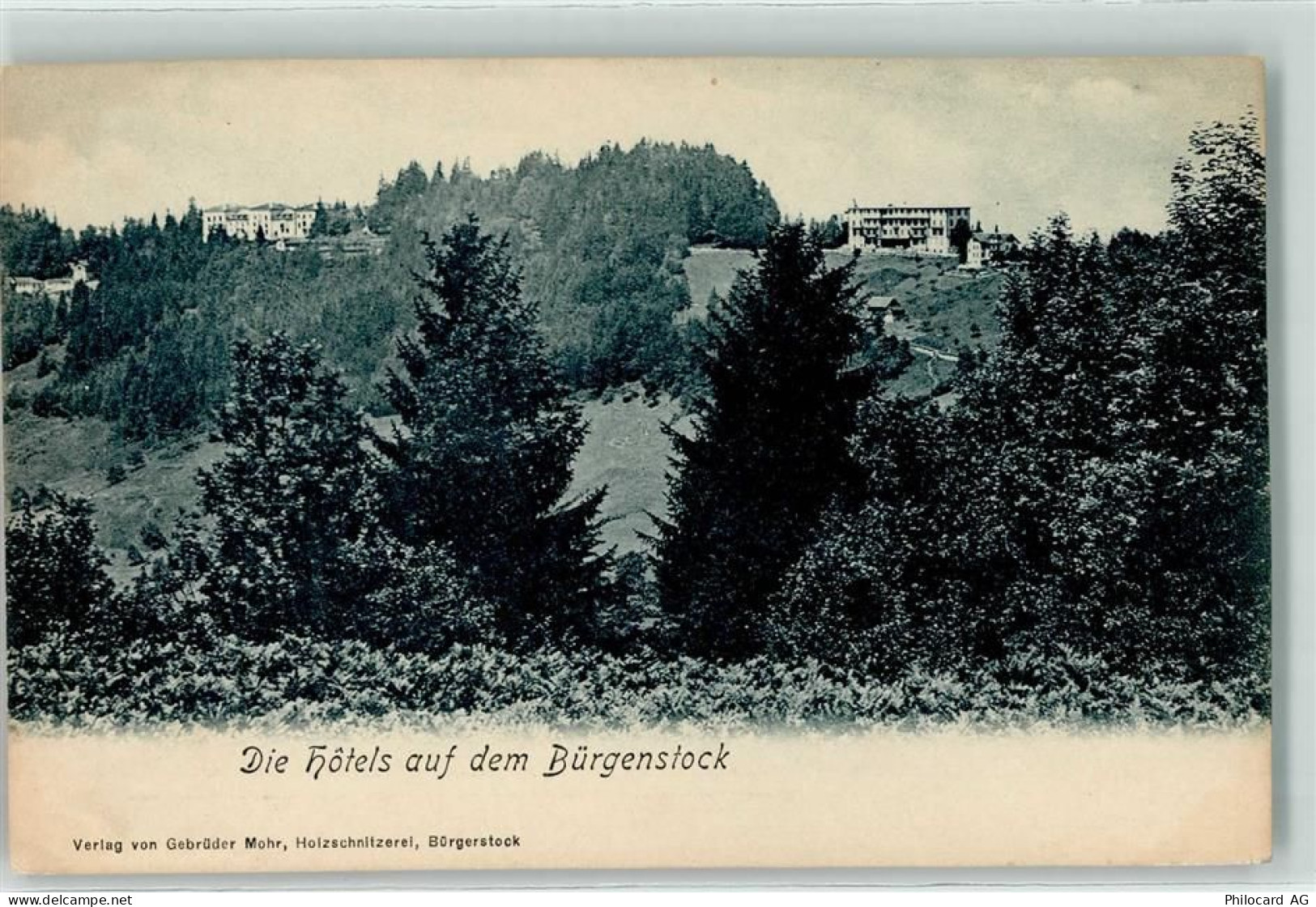 6363 Bürgenstock - Hotels - 10620605