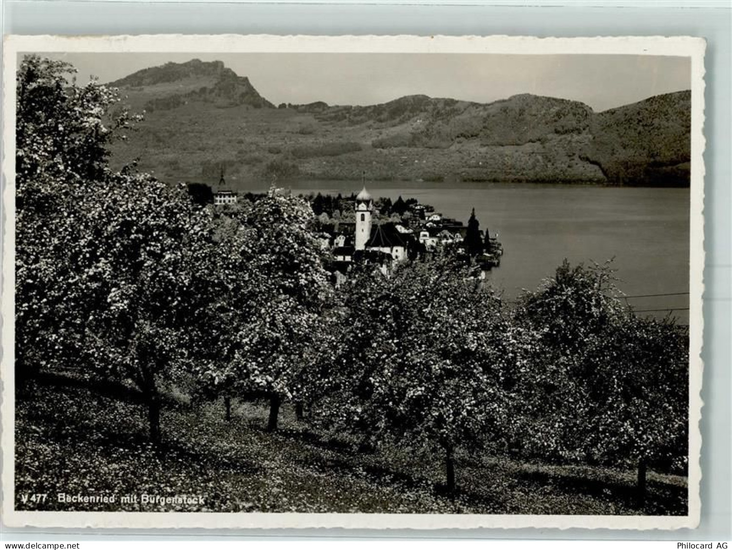 6375 Beckenried - 10393651