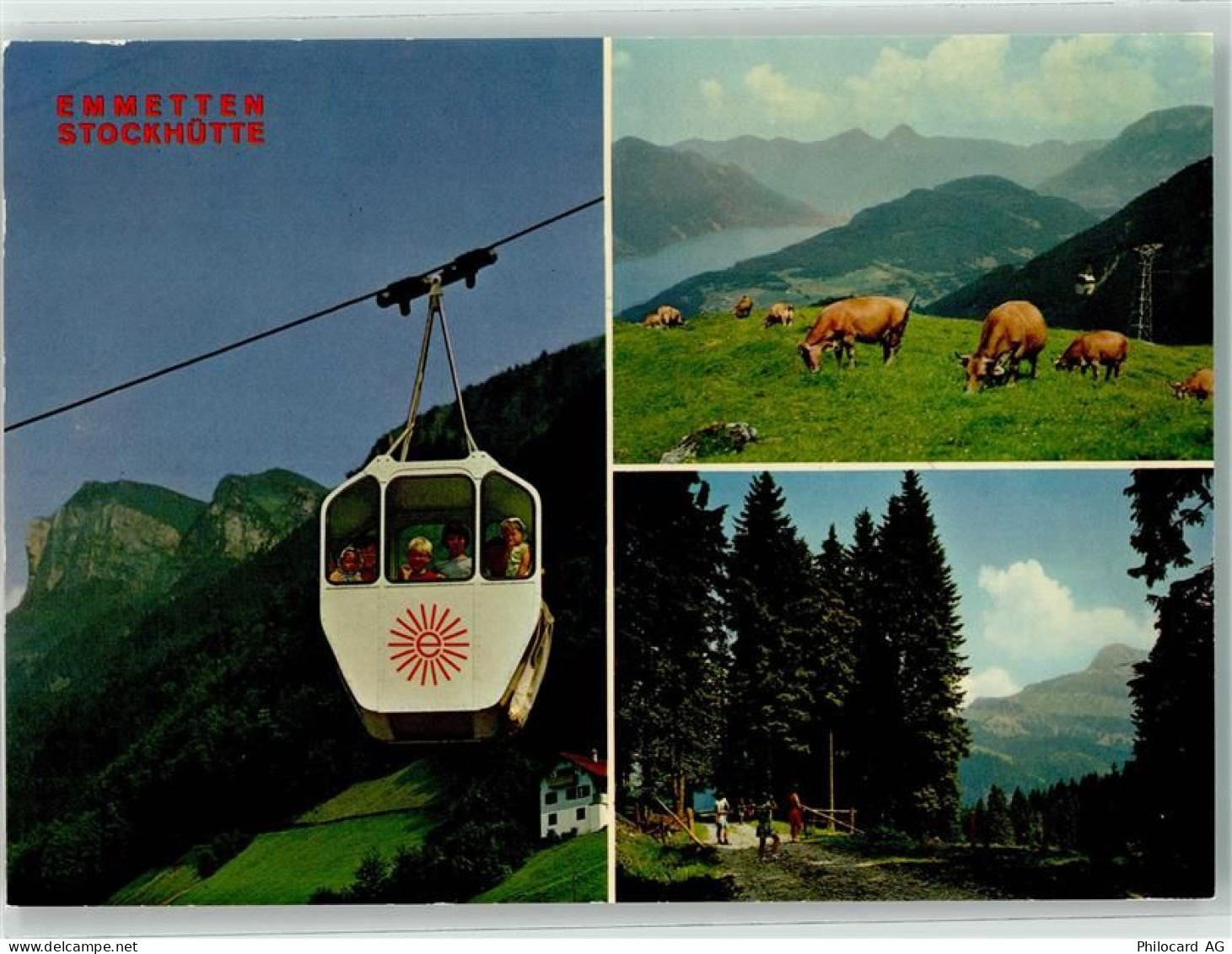 6376 Emmetten - Stockhütte Kühe Seilbahn - 39498800