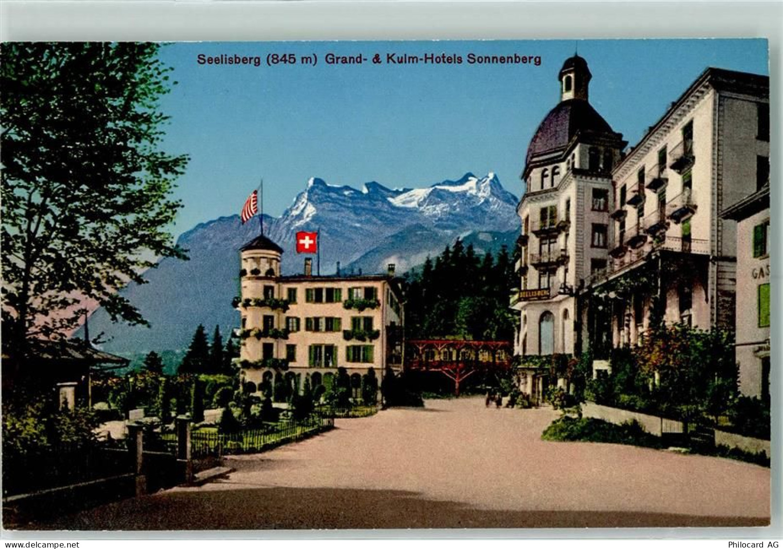 6377 Seelisberg - 10205419