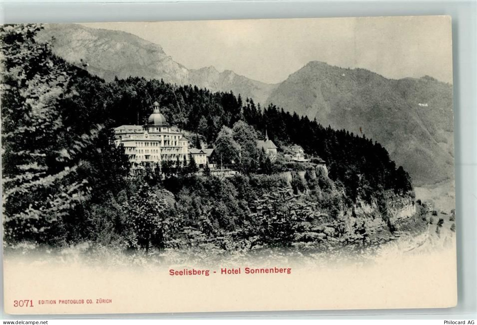 6377 Seelisberg - 10205481