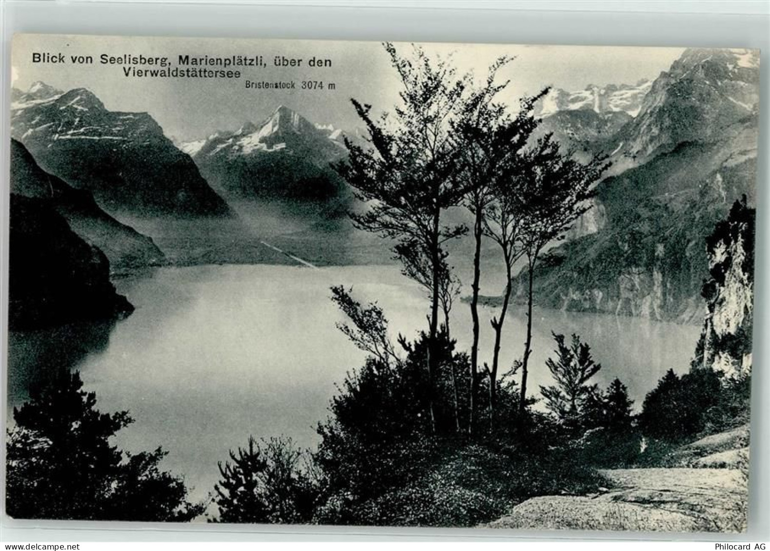 6377 Seelisberg 1911 - Vierwaldstättersee - 39404792