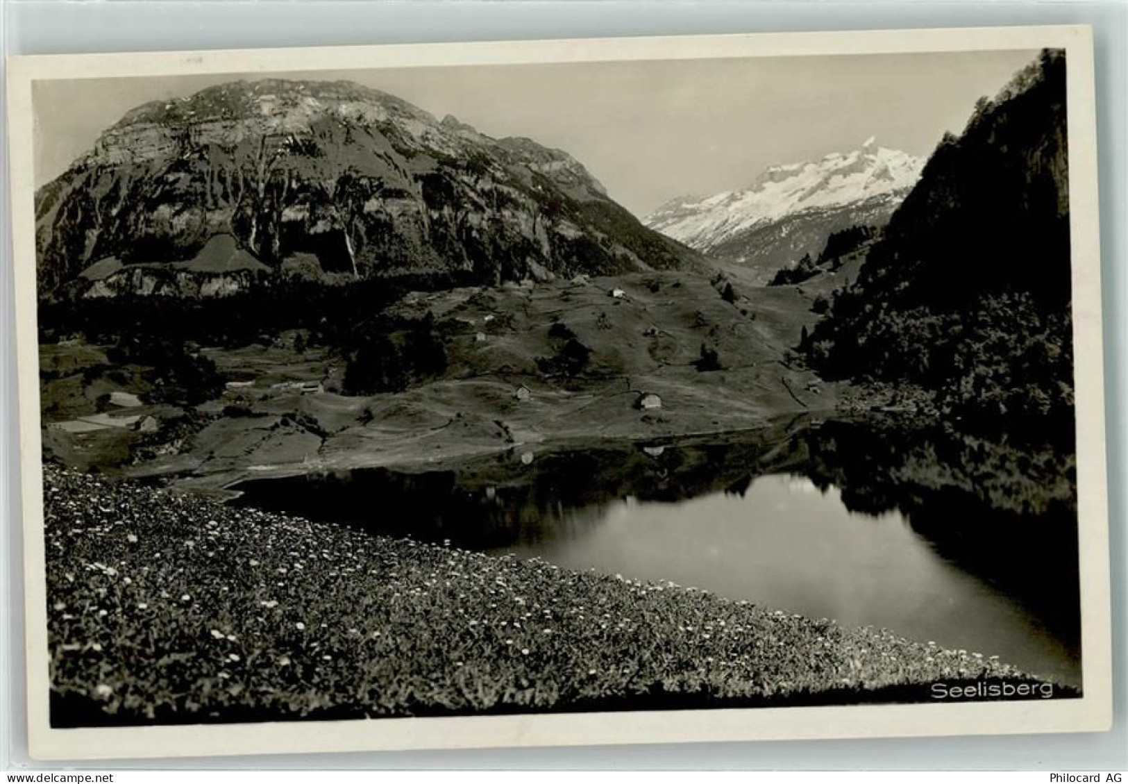 6377 Seelisberg - 39402563