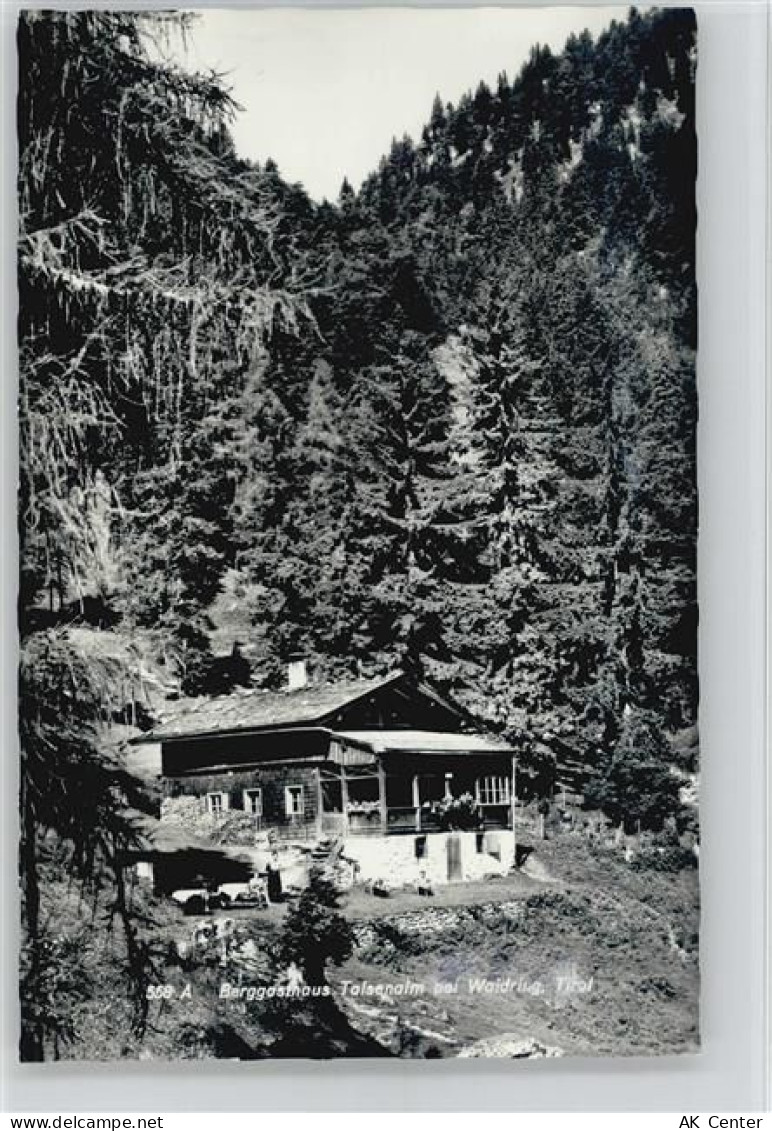 6384 Waidring - Berggasthaus Talsenalm - 10041143