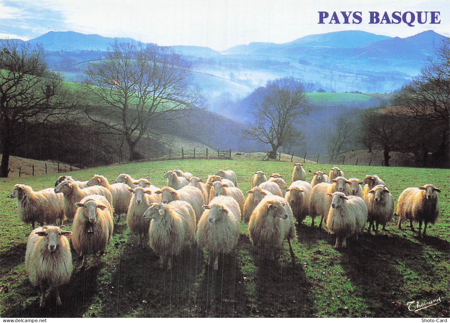 64 ESPELETTE ENVIRONS D ESPELETTE