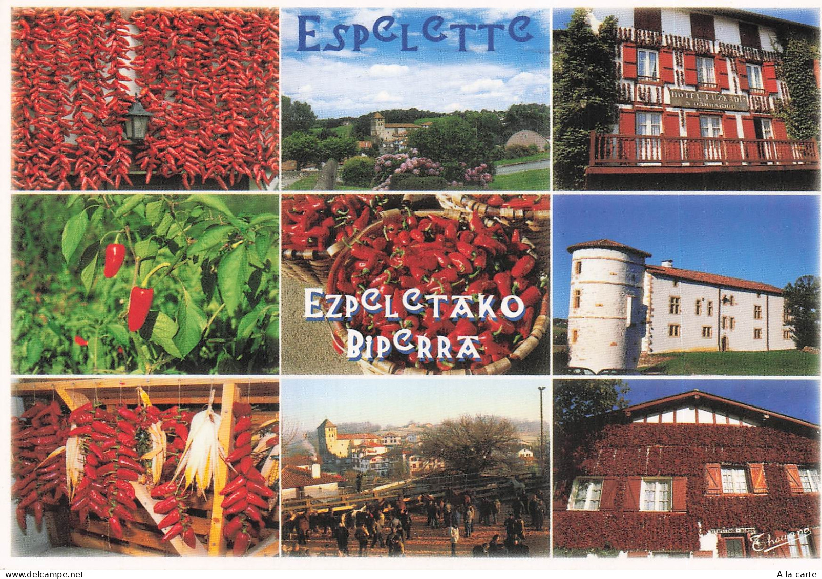 64 ESPELETTE VILLAGE D ESPELETTE