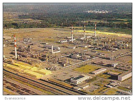 64 LACQ     //    REF16847