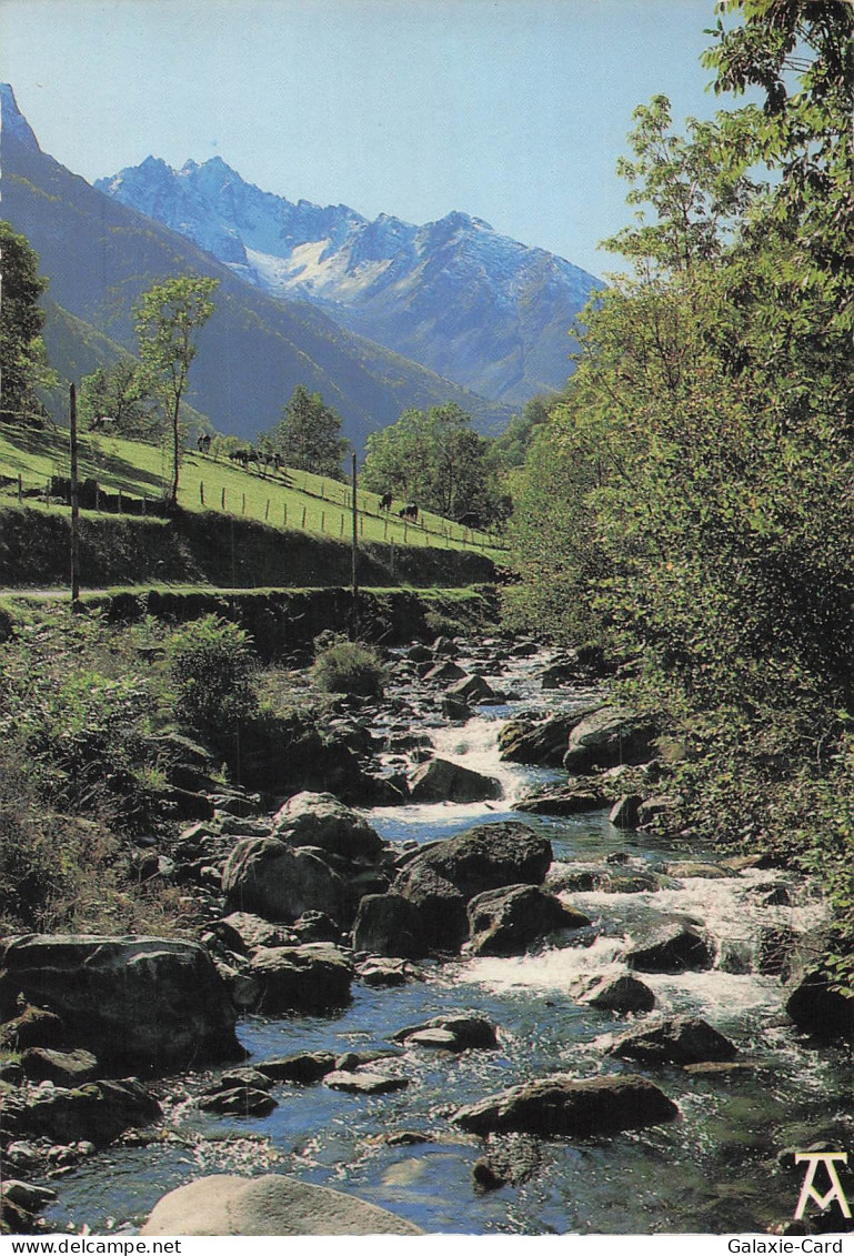 64 LESCAR CATHEDRALE DE LESCAR