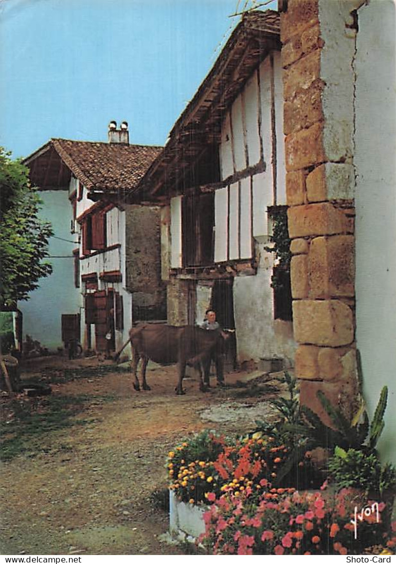 64 MAULEON LICHARRE MAULEON SOULE