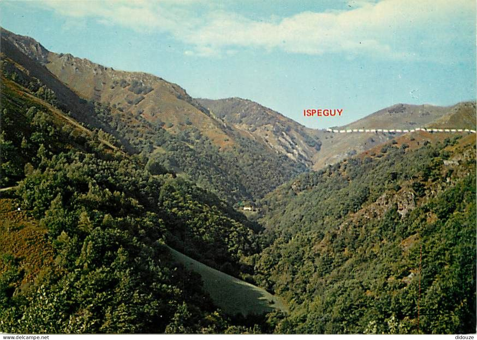 64 - Saint Etienne de Baigorry - Ispéguyko Erreka - Le Ravin d'Ispéguy - Carte Neuve - CPM - Voir Scans Recto-Verso