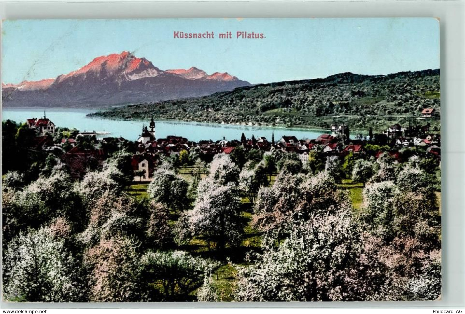 6403 Küssnacht am Rigi 1903 - mit Pilatus Feldpost Militärsache - 10216780