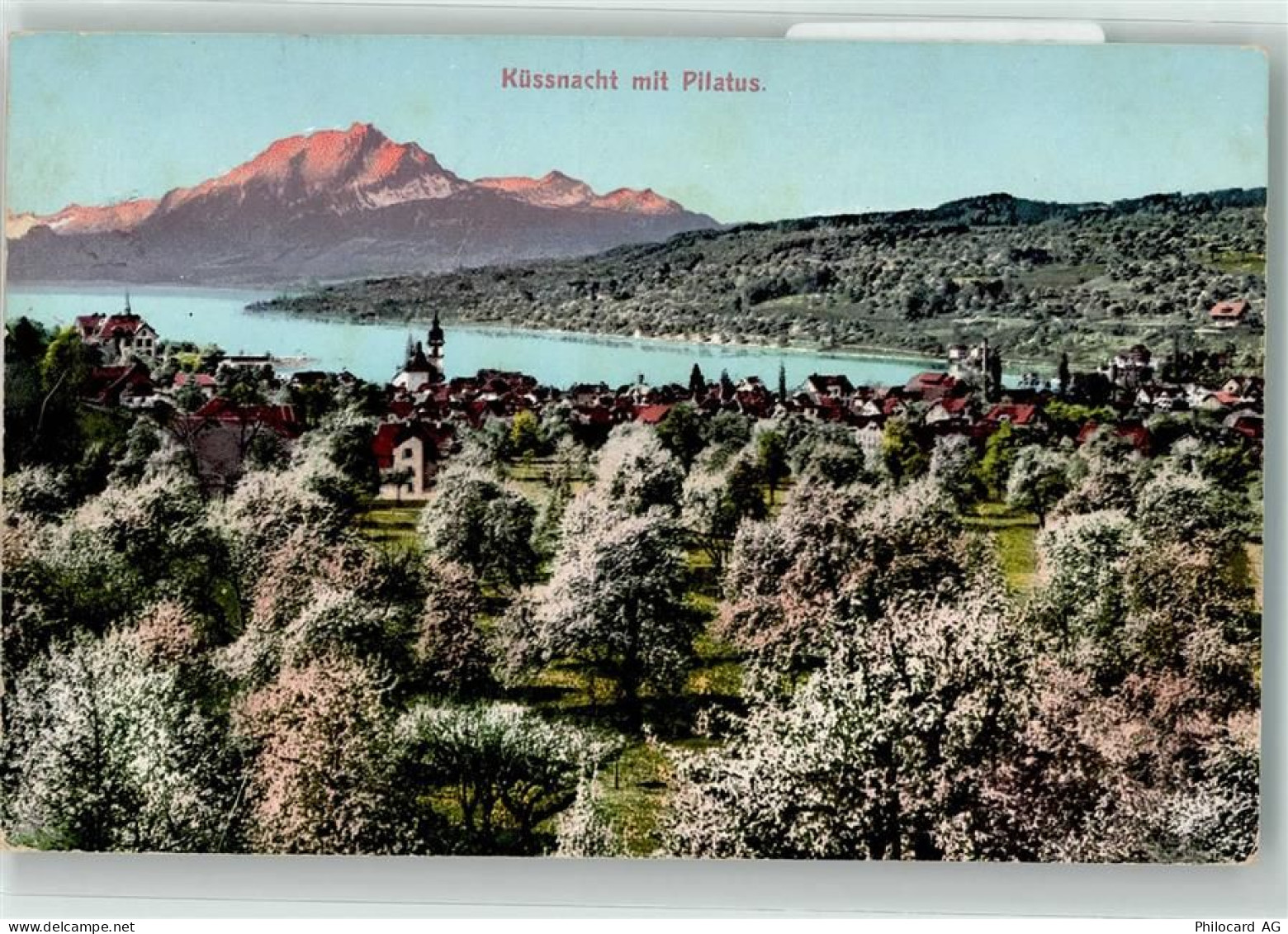 6403 Küssnacht am Rigi 1908 - Pilatus - 39490227