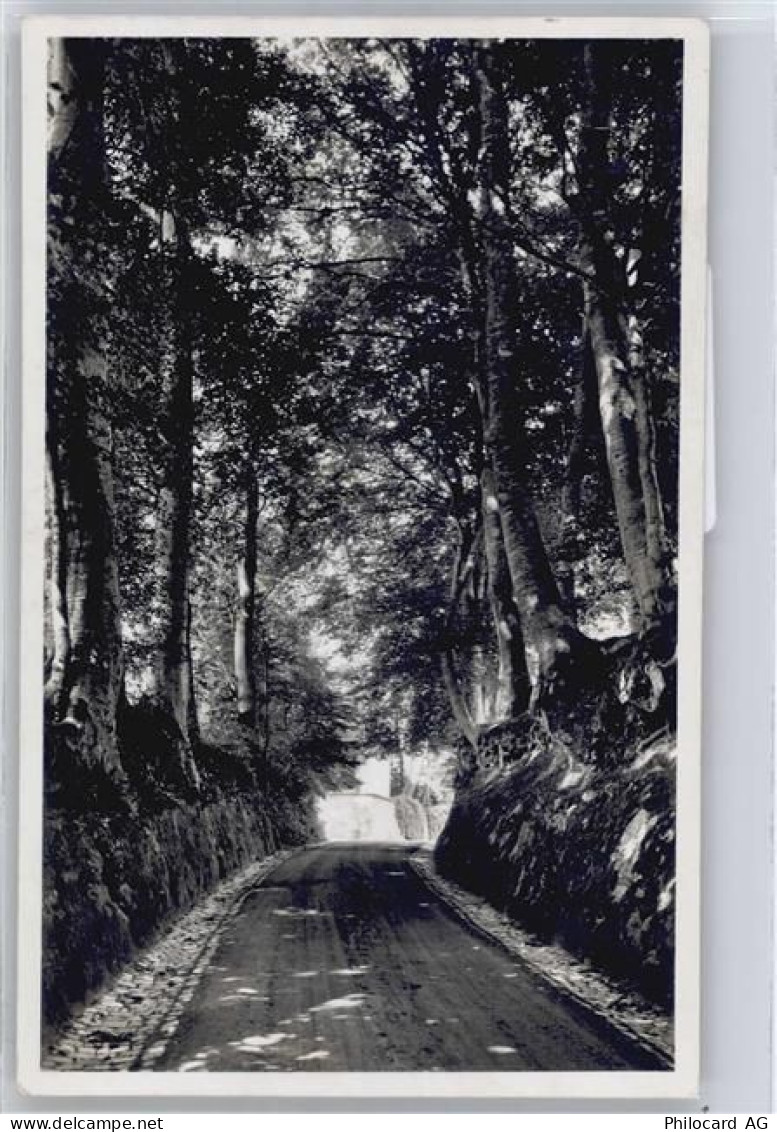 6403 Küssnacht am Rigi - Hohe Gasse AKU2 - 50687818