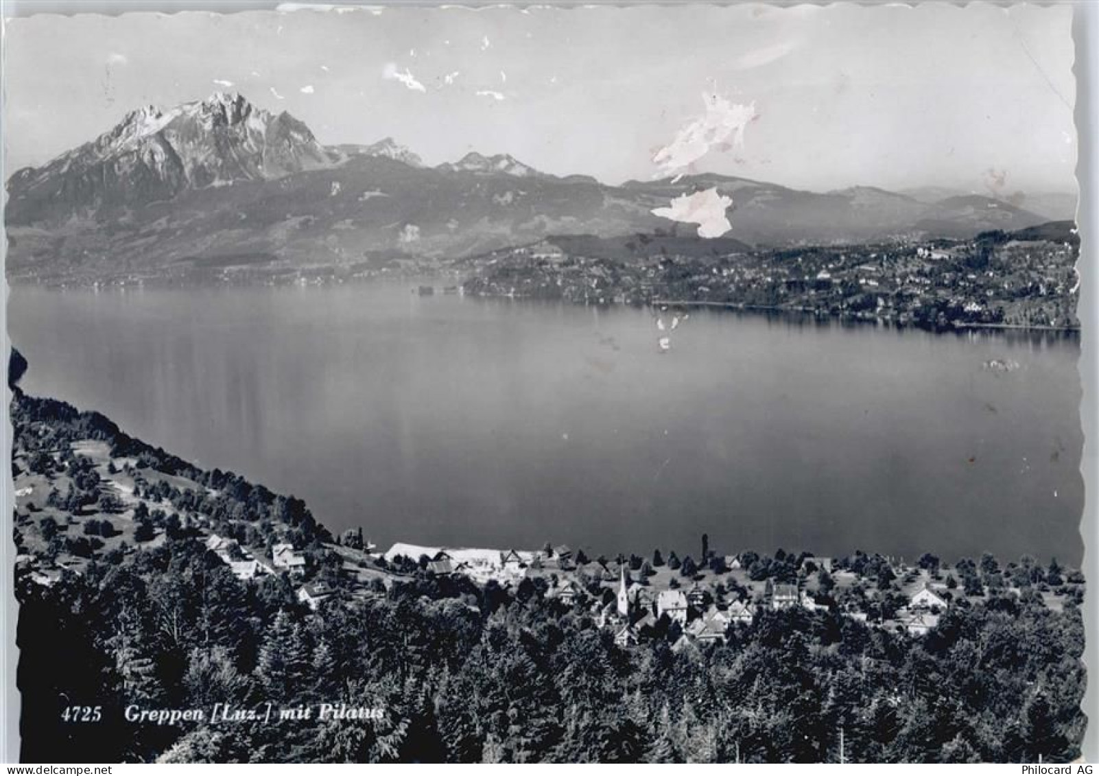 6404 Greppen - Pilatus - 50598792