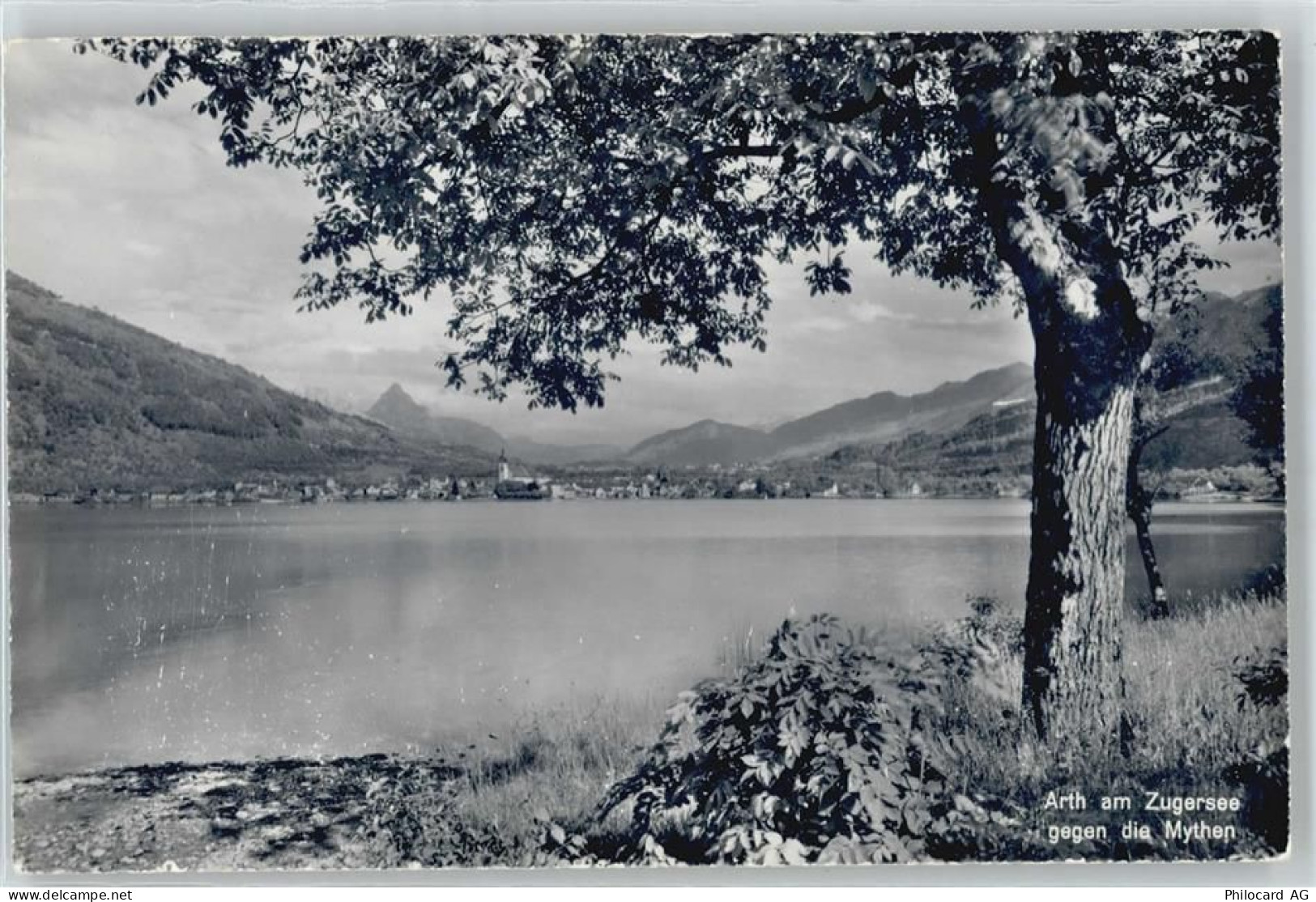 6415 Arth - 50439268