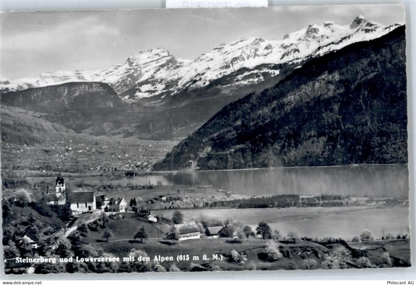 6416 Steinerberg - Lowerzersee, Alpen - 50796316
