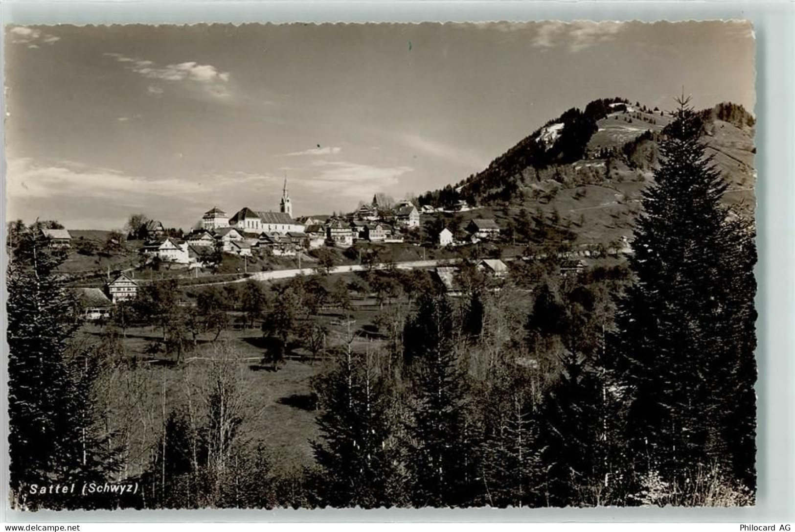 6417 Sattel - 10604459