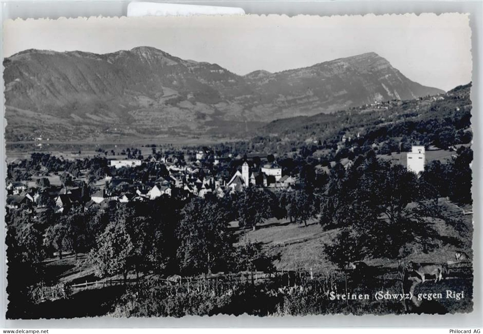 6422 Steinen Gebrauchsspuren Rigi - 50734124