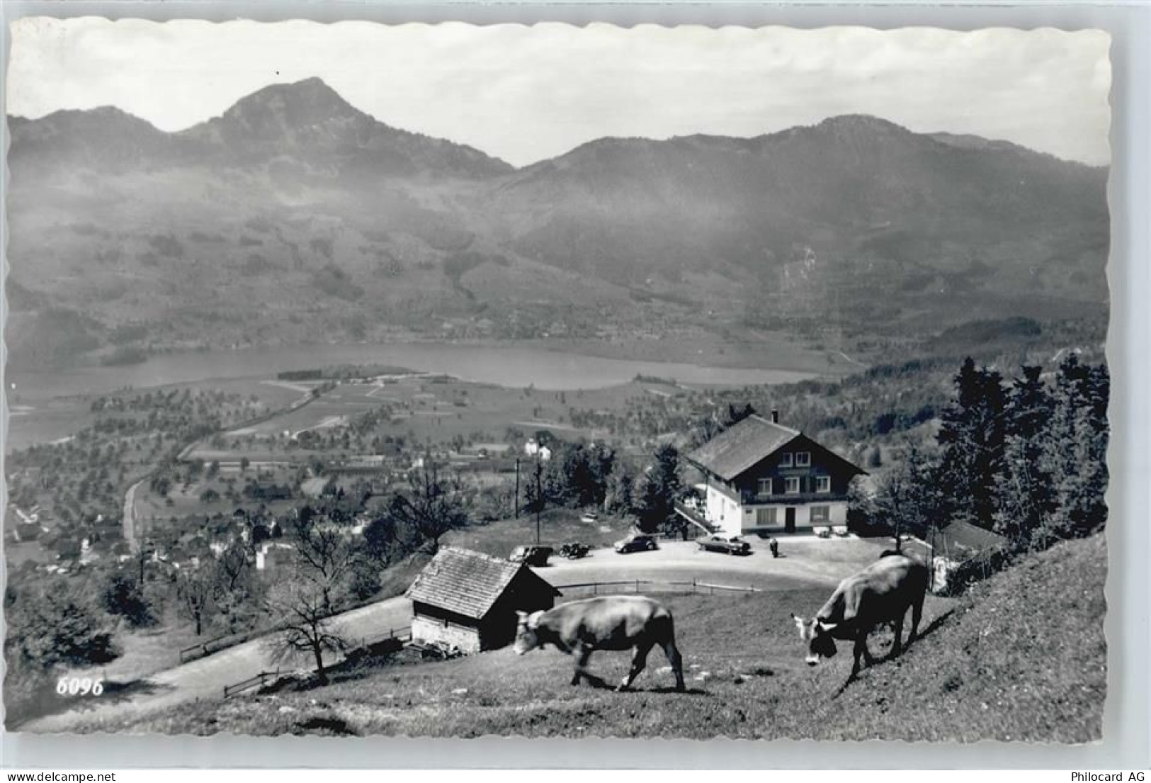 6422 Steinen - Restaurant Spiegelberg - 50734906