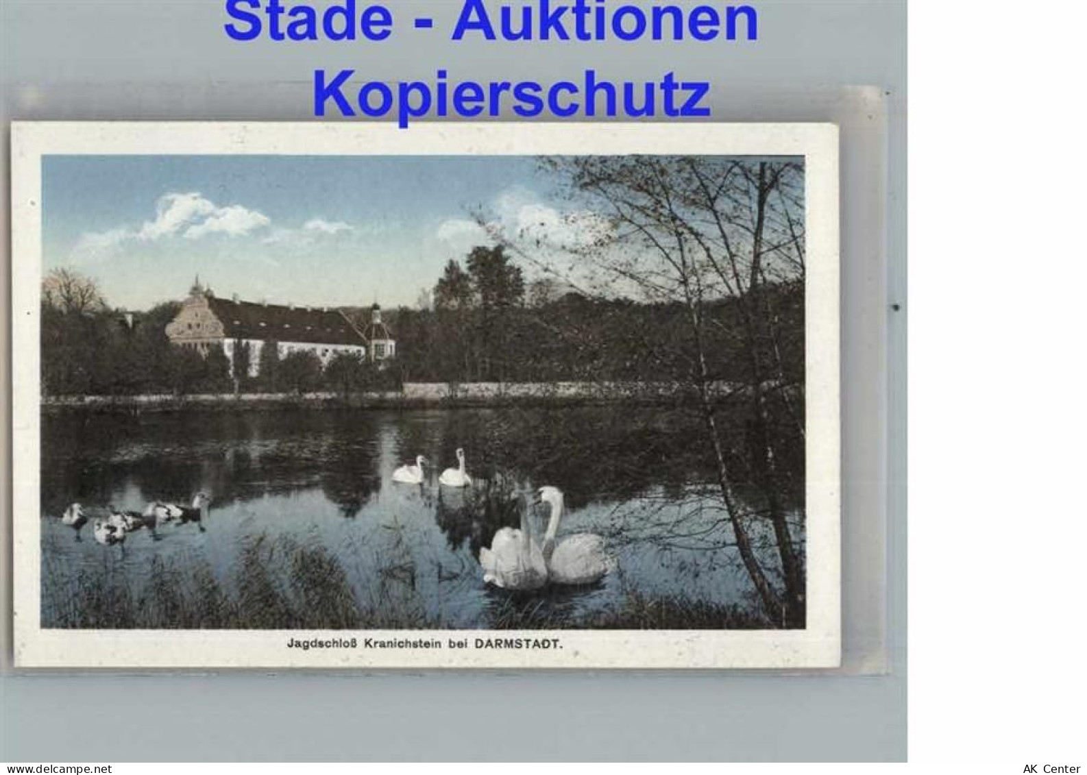 64283 W6100 Darmstadt - Darmstadt - 50273941
