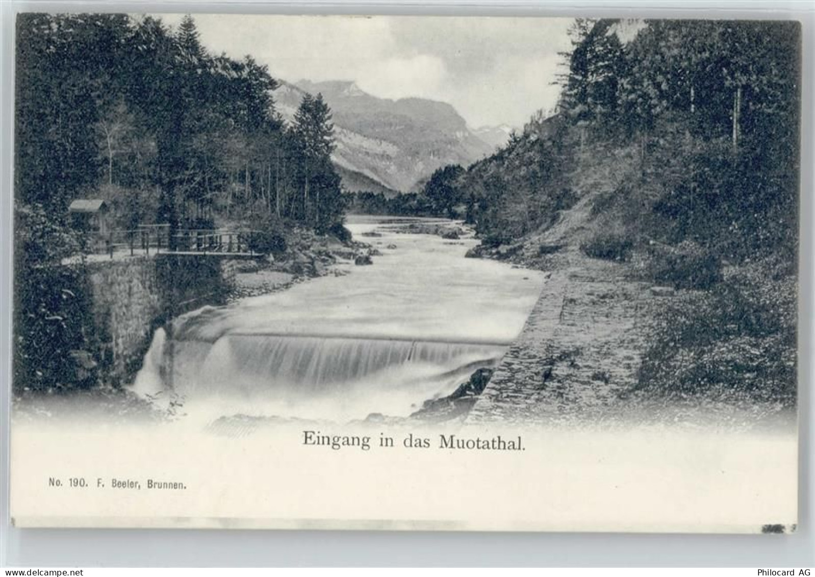 6436 Muotathal - 50733448