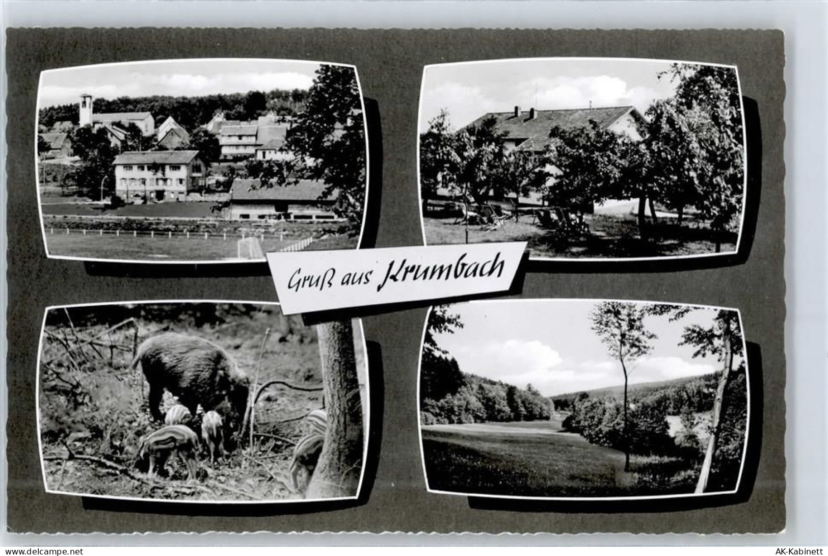 64385 W6149 Krumbach , Odenw - Gasthaus zum Auerhahn - 51339168