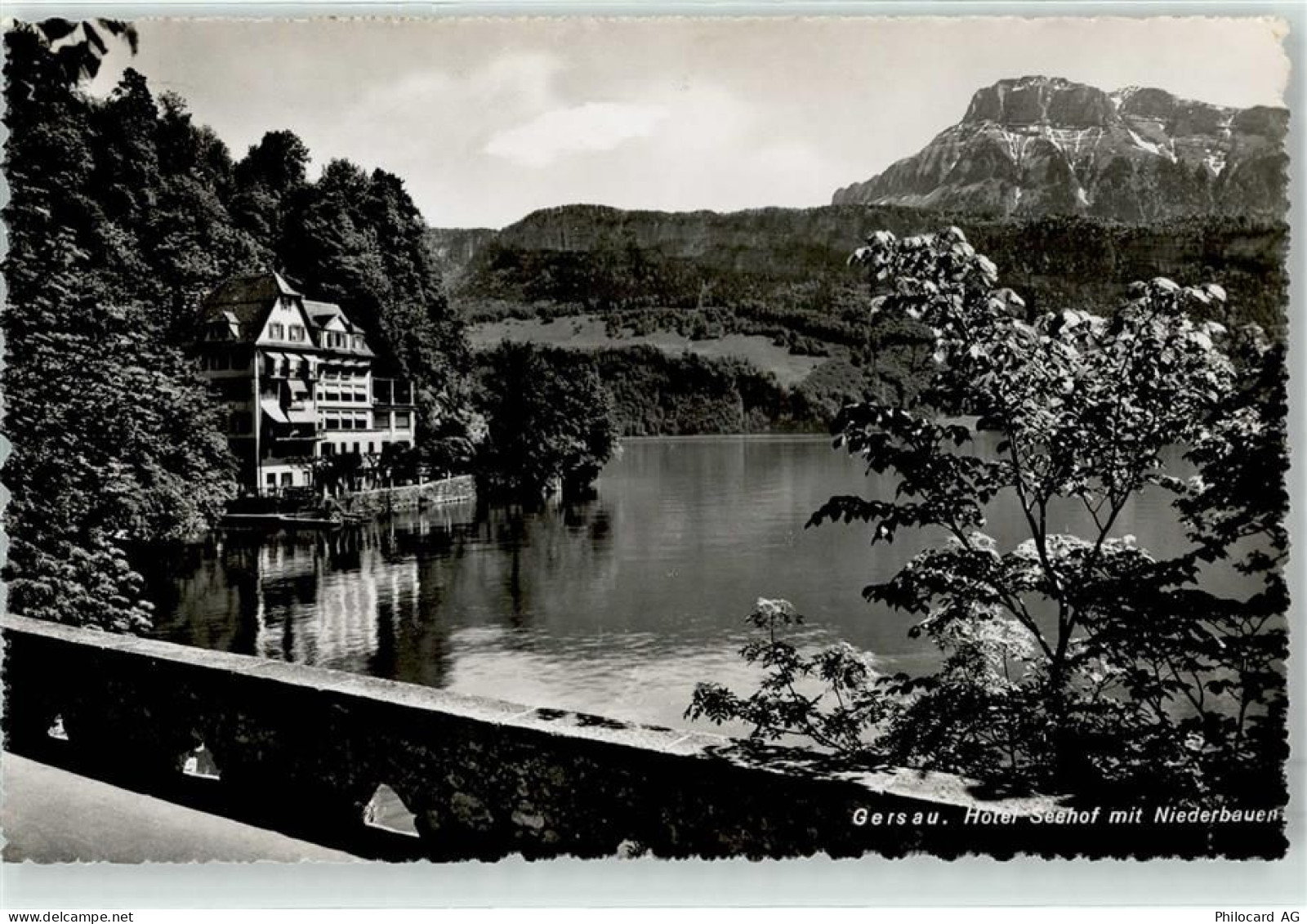 6442 Gersau - Hotel Seehof Niederbauen - 52173421