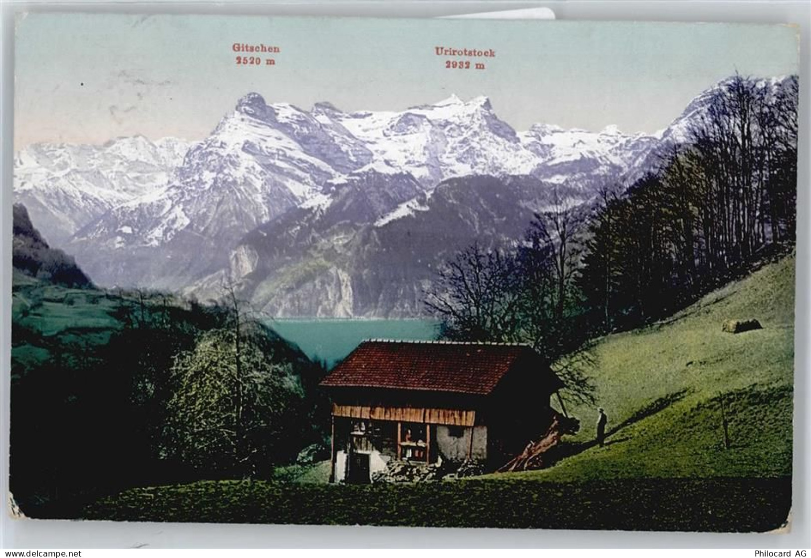 6443 Morschach - Vierwaldstättersee, Gitschen, Urirotstock - 50733317