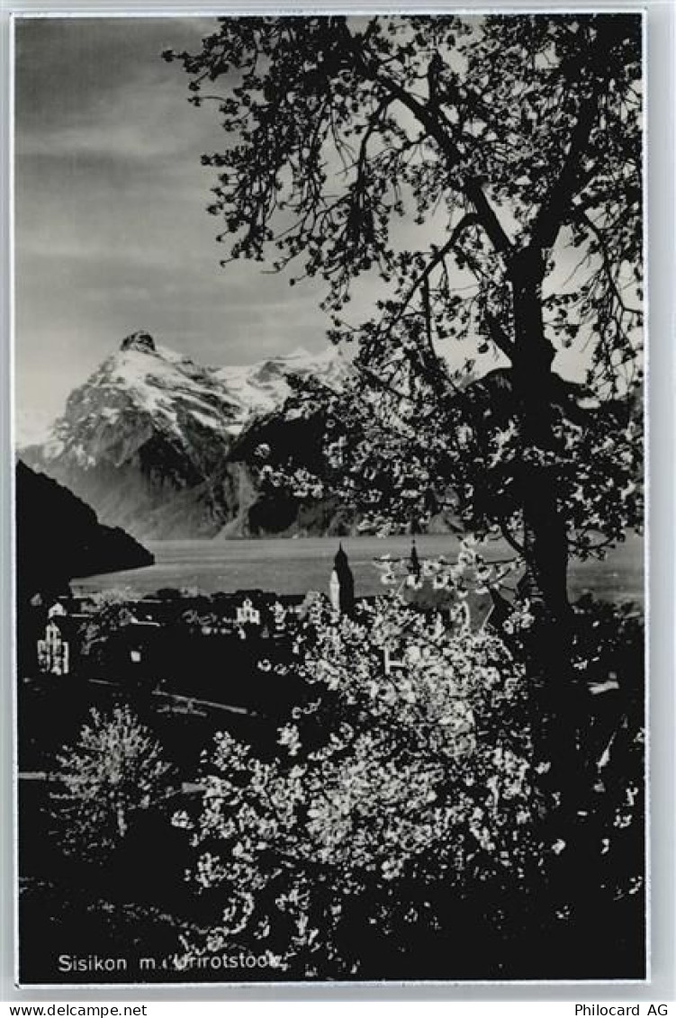 6452 Sisikon - AKU2 - 50700178