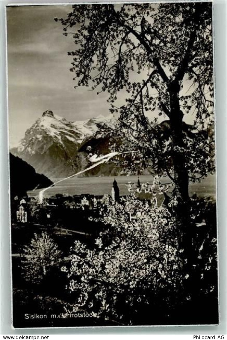 6452 Sisikon - Urirotstock - 10625183