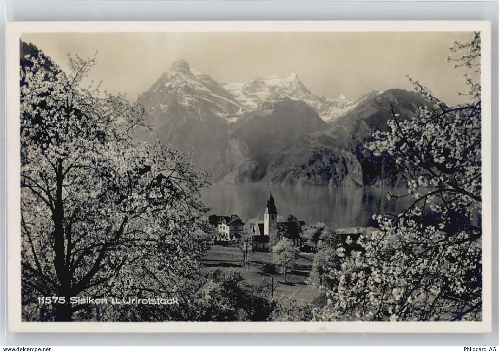 6452 Sisikon - Urirotstock - 50721215