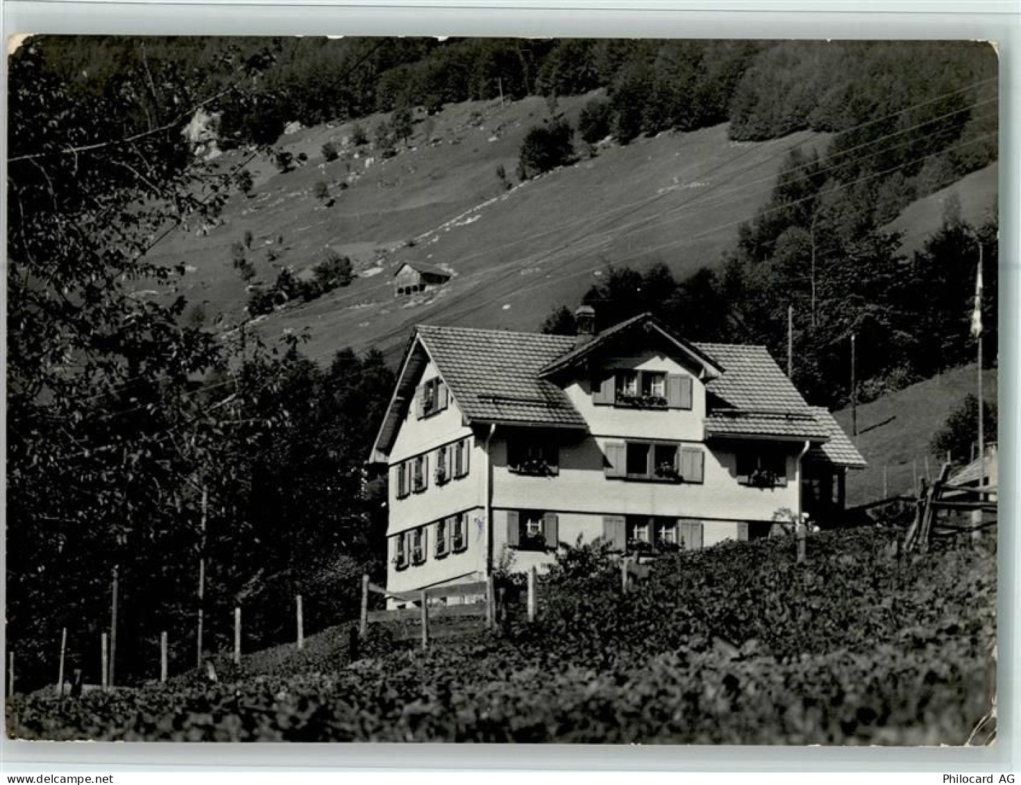 6461 Isenthal Foto AK Weid - Pension, gute Erhaltung AK - 13056543