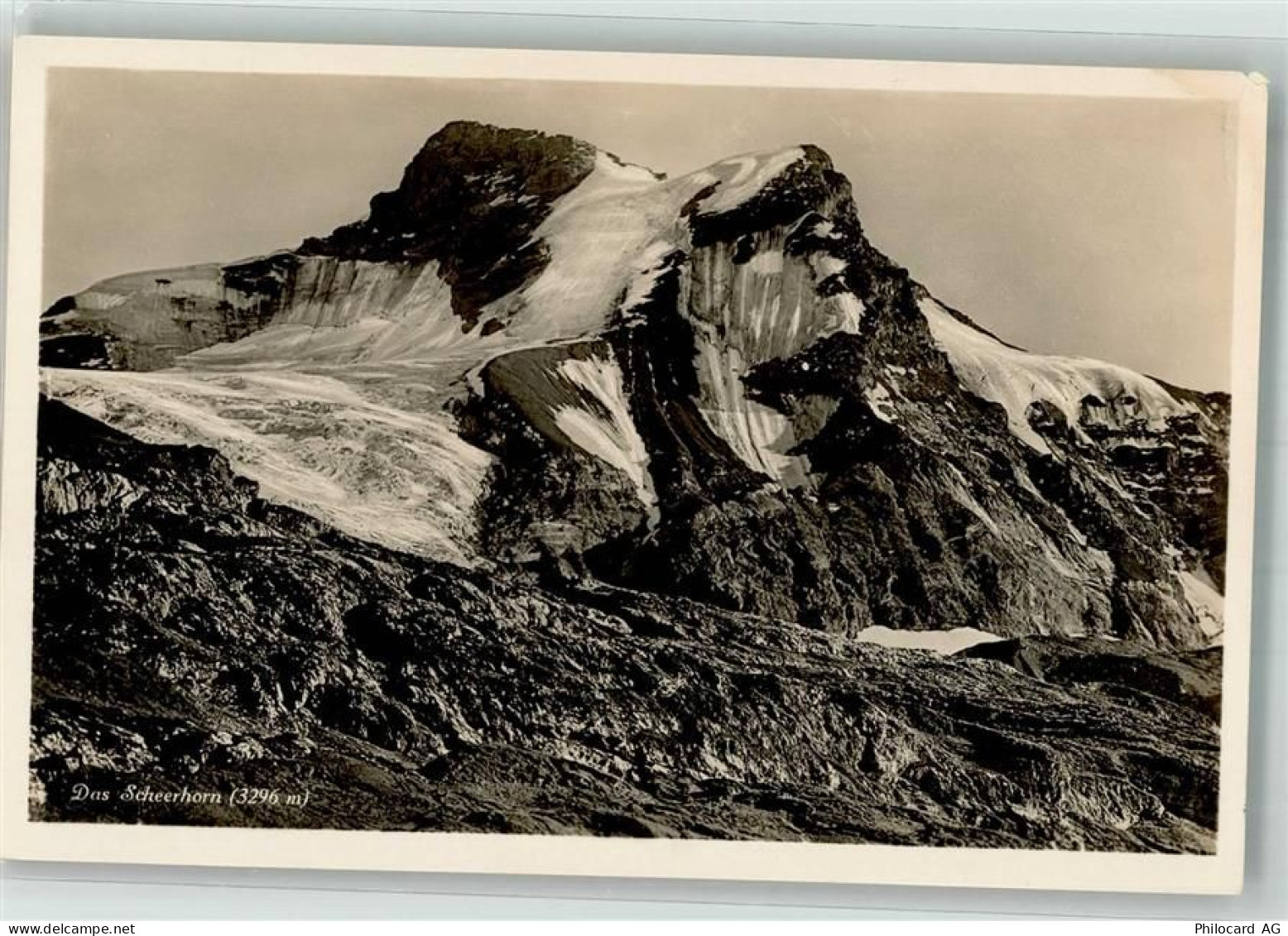 6473 Silenen Foto AK Scheerhorn - 38071245