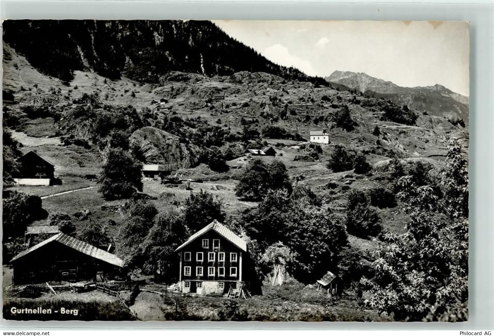 6482 Gurtnellen - Berg - 10622970