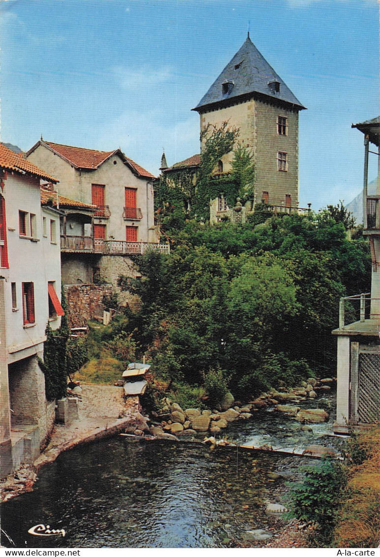 65 MAULEON BAROUSSE LE CHATEAU DE L OURSE