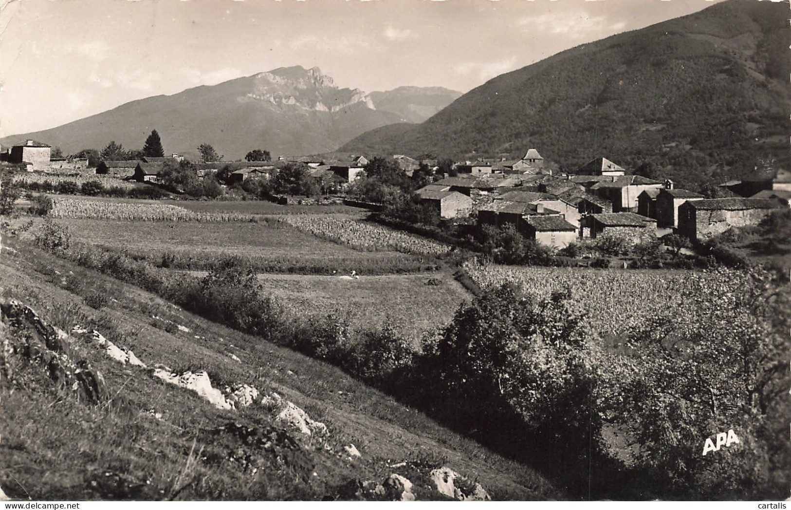 65-MAULEON BAROUSSE-N°T5274-F/0311