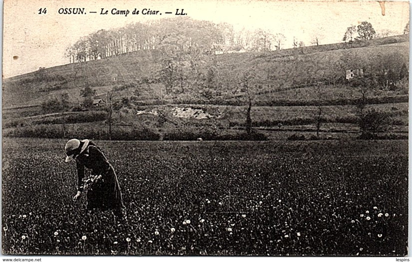 65 - OSSUN -- Le camp de César
