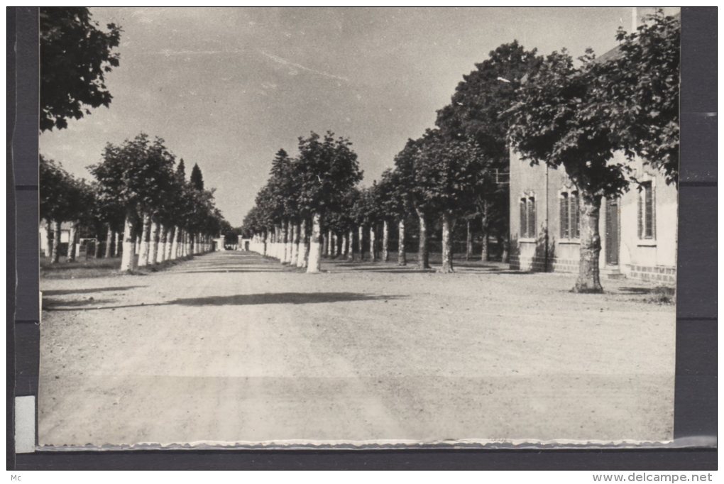 65 - près Tarbes - Au dos au stylo : Souvenir du Camp de Ger