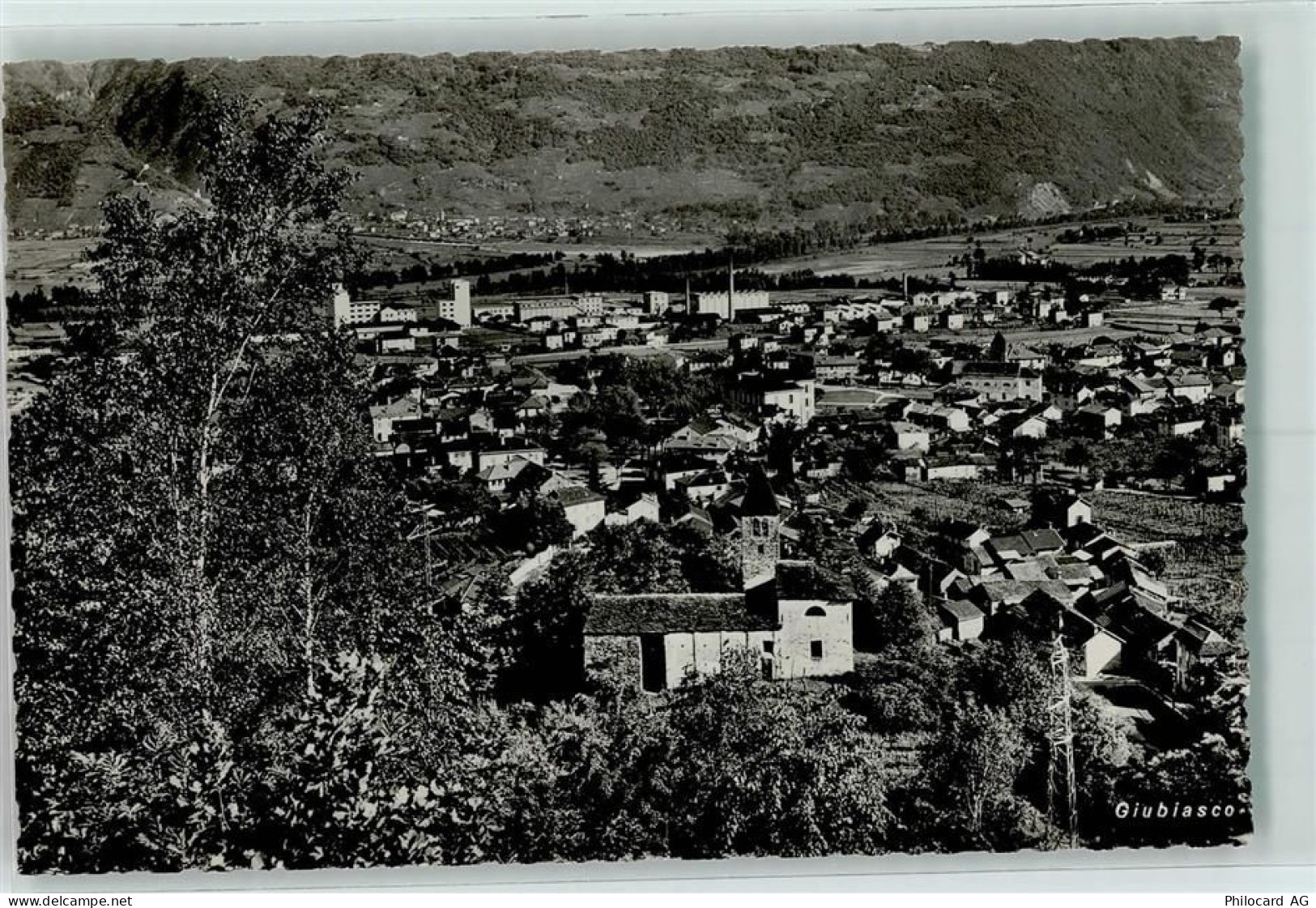 6512 Giubiasco Pedevilla - 10216859