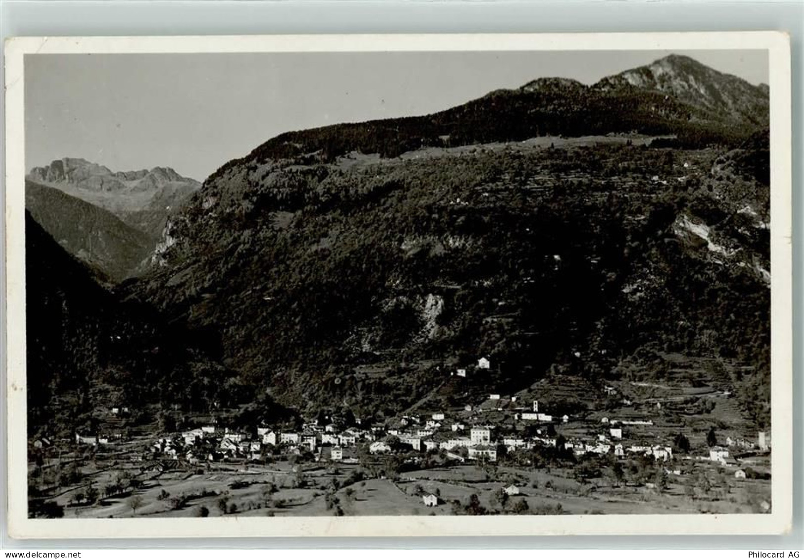 6537 Grono - 10604179