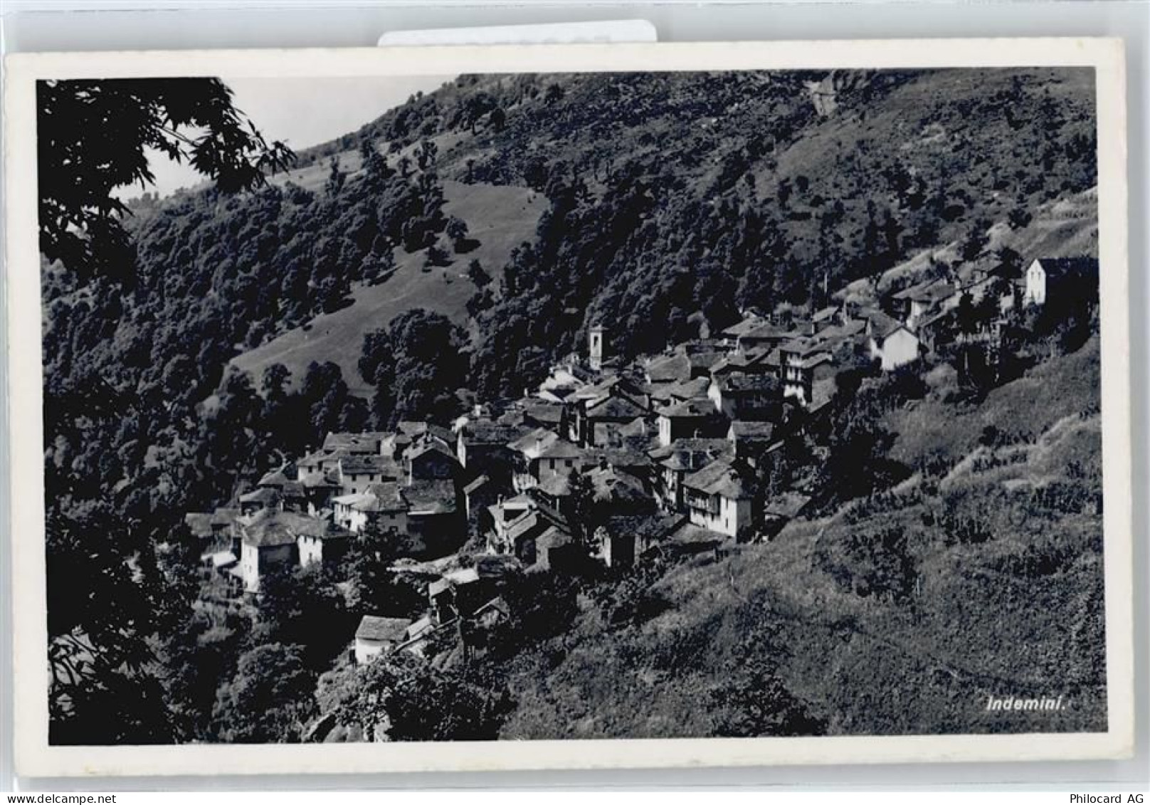 6571 Indemini - 50365323