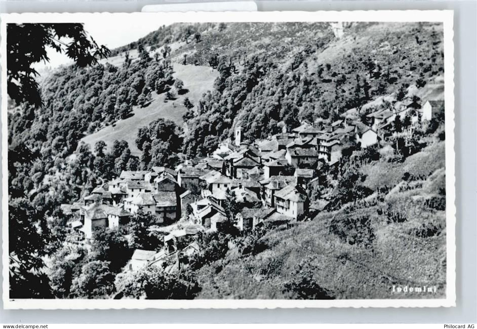 6571 Indemini - 50699255