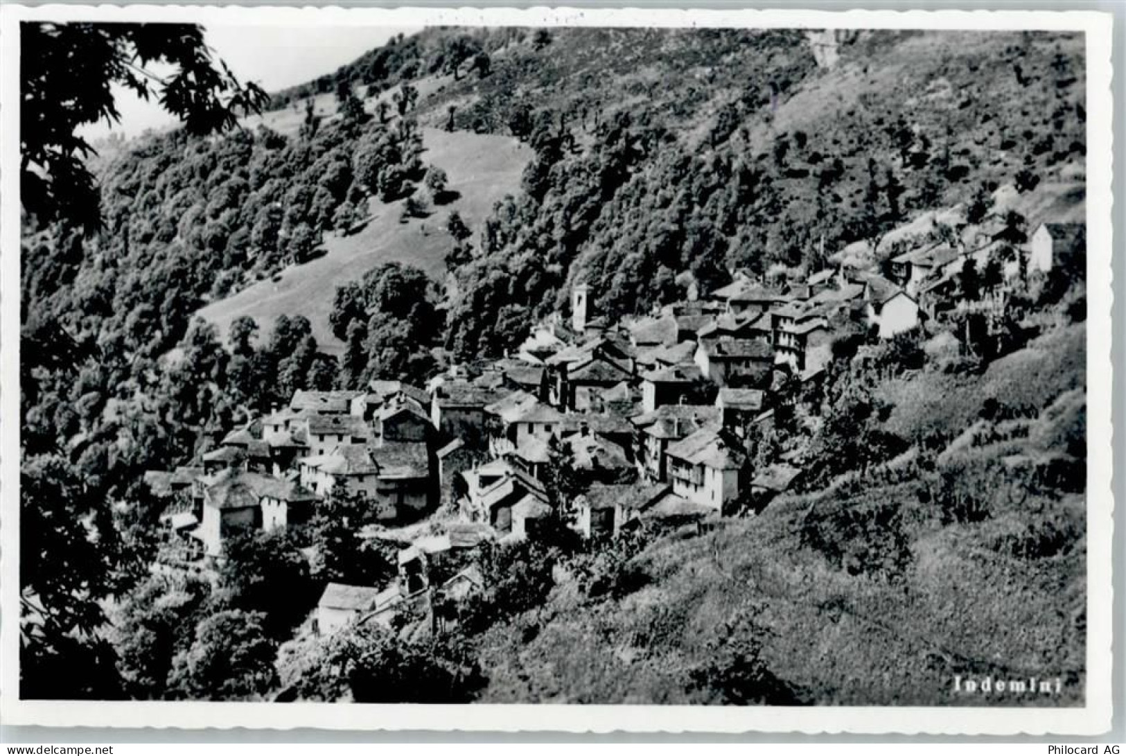 6571 Indemini - 50773357