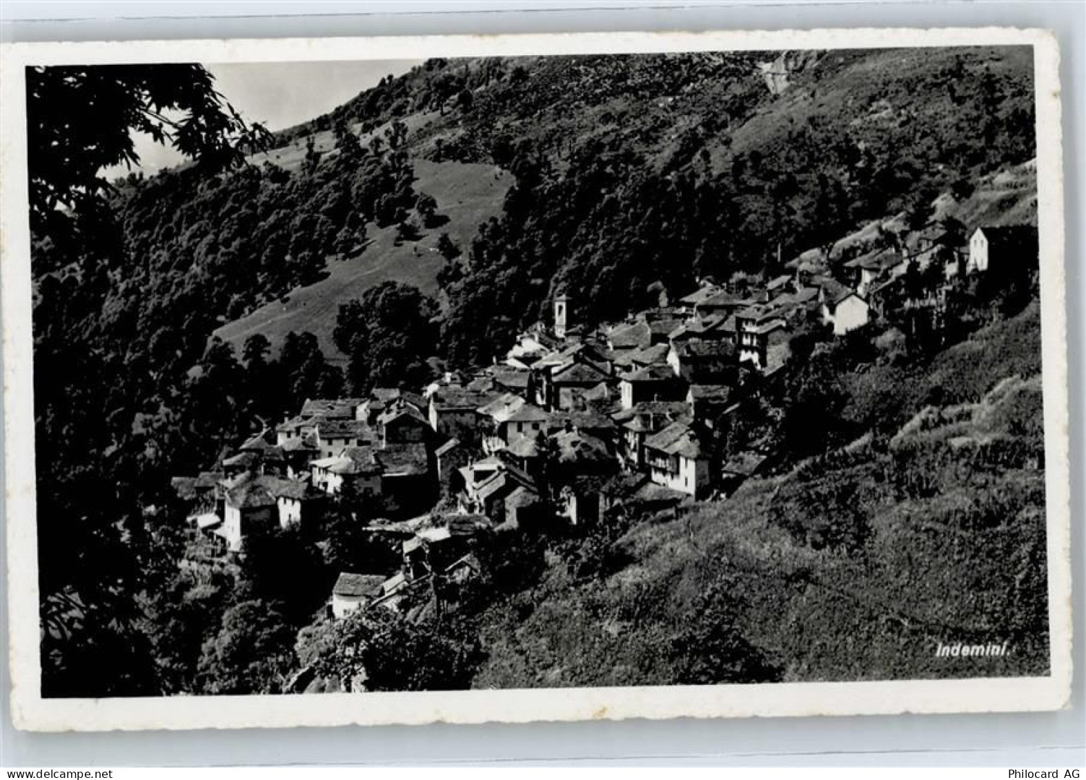 6571 Indemini - 50773407