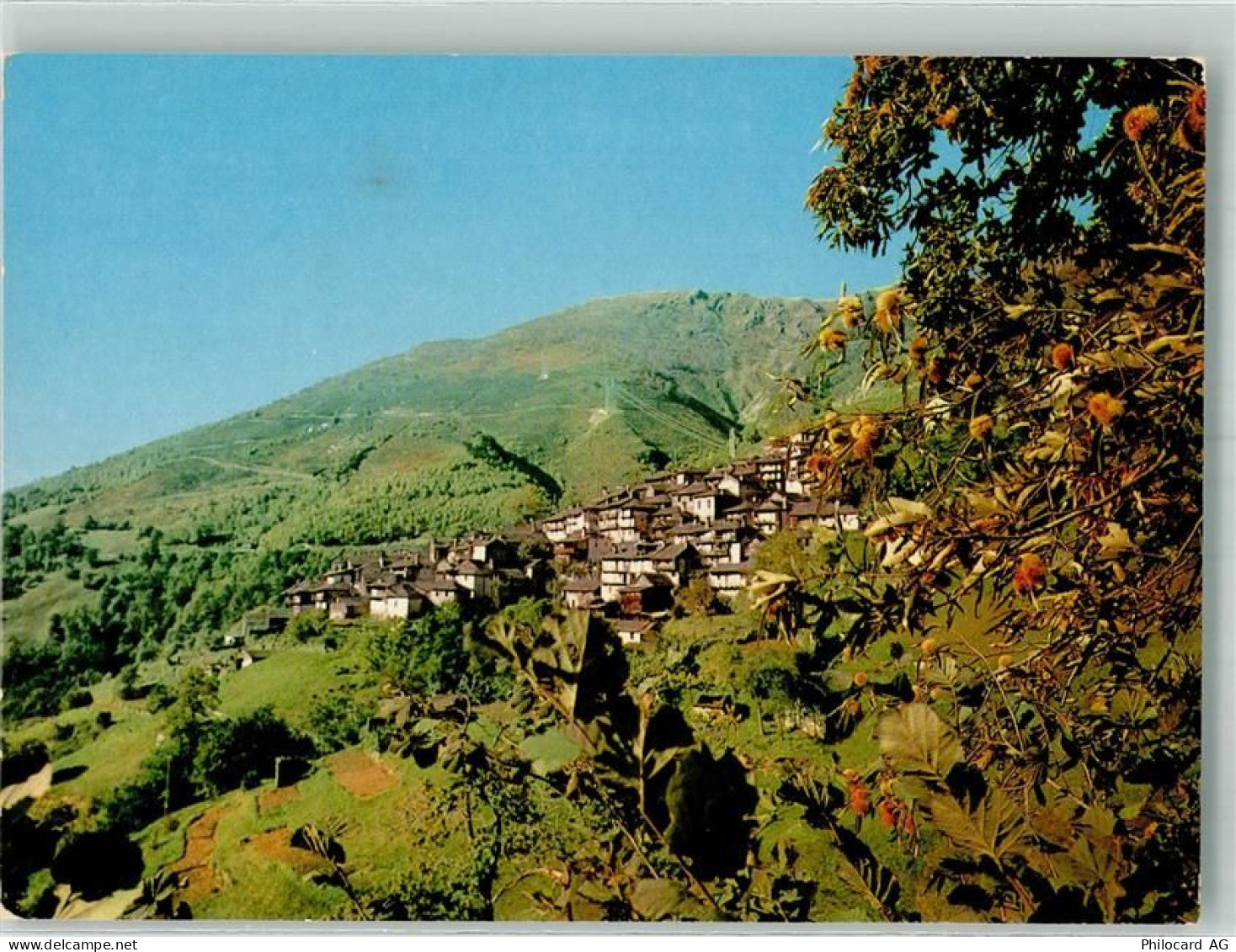 6571 Indemini Foto AK - 38193785